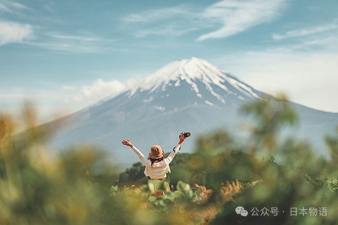 九游娱乐文化：90亿人次出行的2025春节：中国游客海外游首选日本、泰国和新西兰等国家(图5)