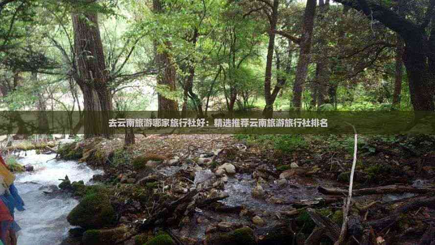 去云南旅游哪家旅行社好：精选推荐云南旅游旅行社(图7)
