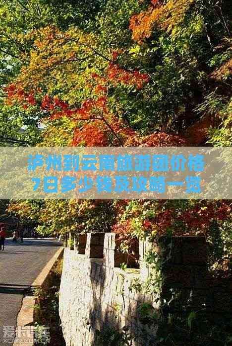 九游娱乐：泸州到云南古城团体旅游(图5)