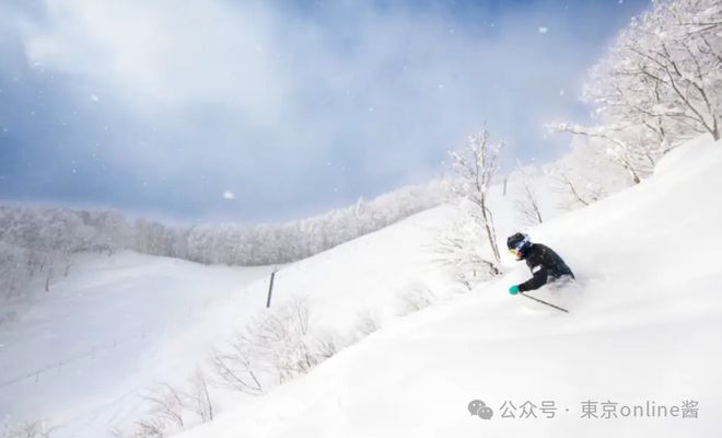 90亿人次出行！2025春节中国游客海外游首选日本、泰国和新西兰等国家(图6)
