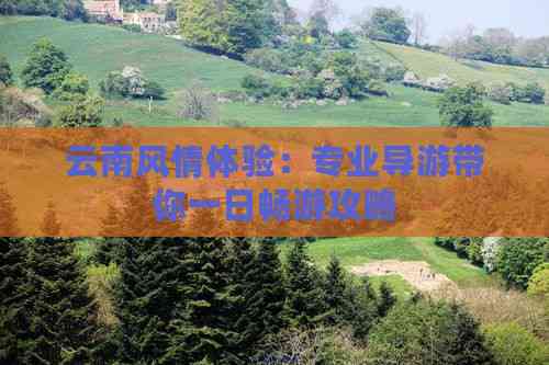 云南风情体验：专业导游带你一日畅游攻略(图6)