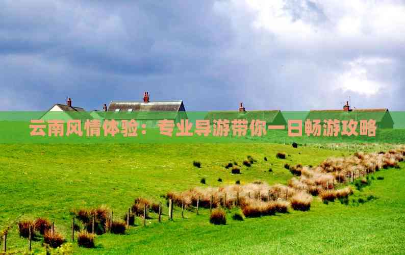 云南风情体验：专业导游带你一日畅游攻略