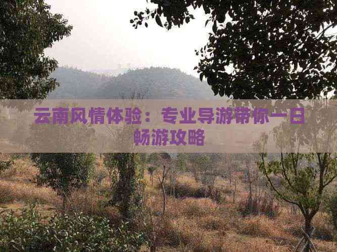 云南风情体验：专业导游带你一日畅游攻略(图3)