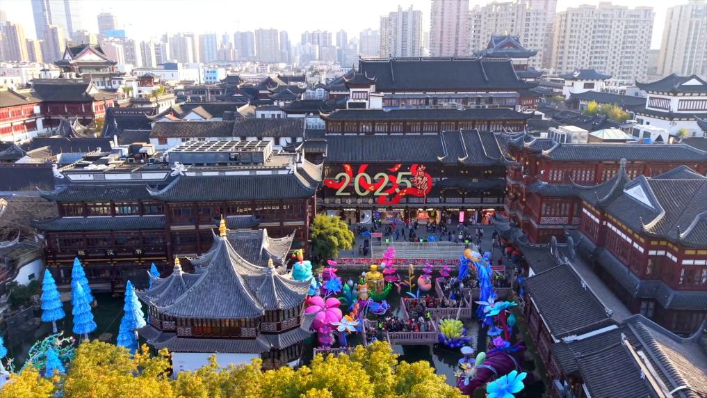 九游娱乐文化：2025入境游火热开局老外打卡“中国年”(图8)
