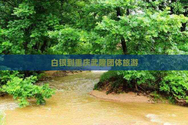 九游娱乐文化：白银到重庆武隆团体旅游