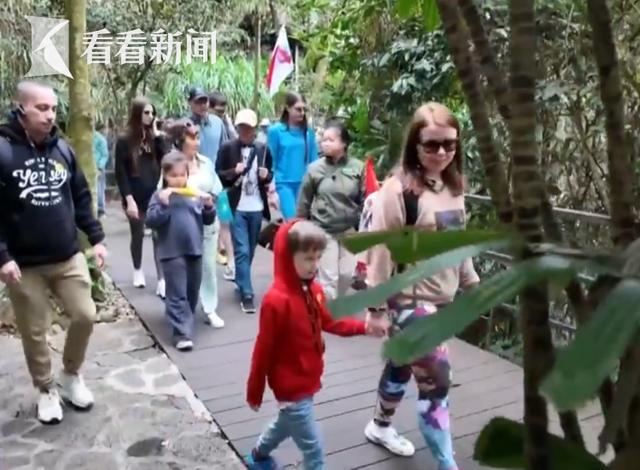 免签效应持续显现“中国游”成“热”体验(图11)