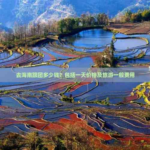 九游娱乐文化：去海南跟团多少钱？包括一天价格及旅游一般费用(图6)