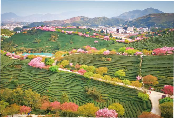 旅游迎春休闲过年@全球旅行者入境旅游经典线路为你奉上快来福建玩！(图12)