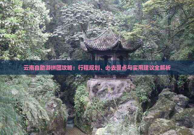 怎么拼团去云南旅行(图11)