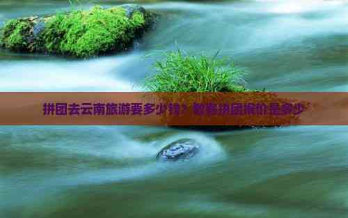 怎么拼团去云南旅行(图13)