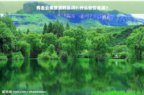 去云南有哪些旅游团好