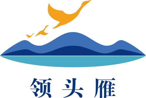 领头雁旅行社：以“35831”爱心团队开启高品质旅游新纪元