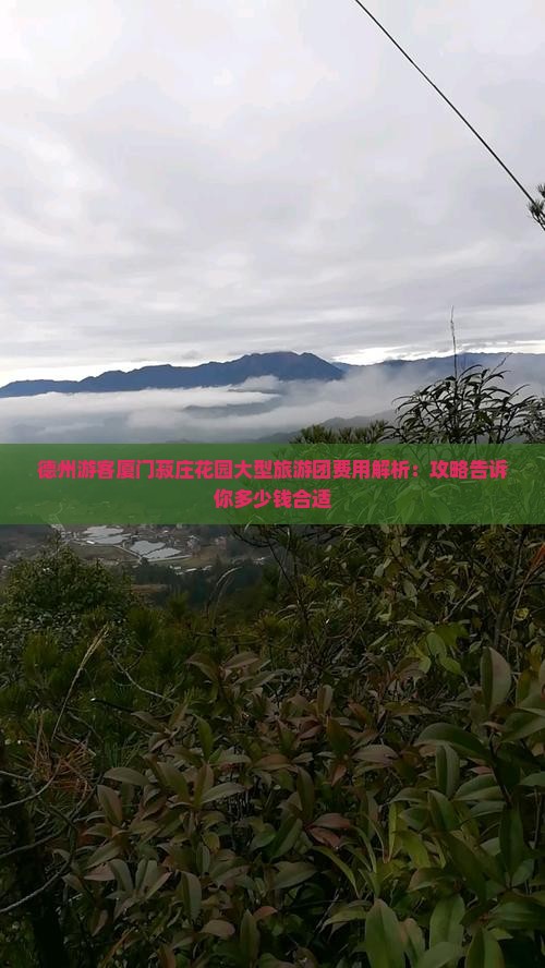 德州游客厦门菽庄花园大型旅游团费用解析：攻略告诉你多少钱合适