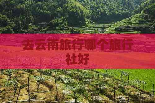 去云南旅行哪个旅行社好(图2)