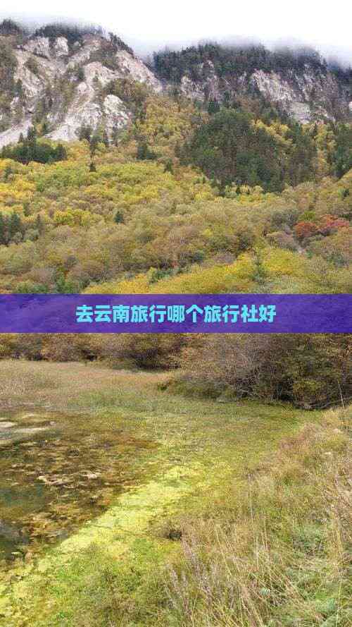 去云南旅行哪个旅行社好