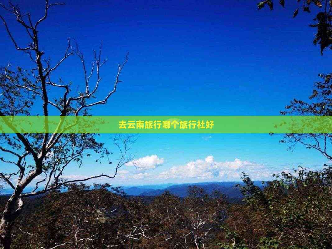 去云南旅行哪个旅行社好(图3)