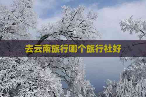 去云南旅行哪个旅行社好(图5)