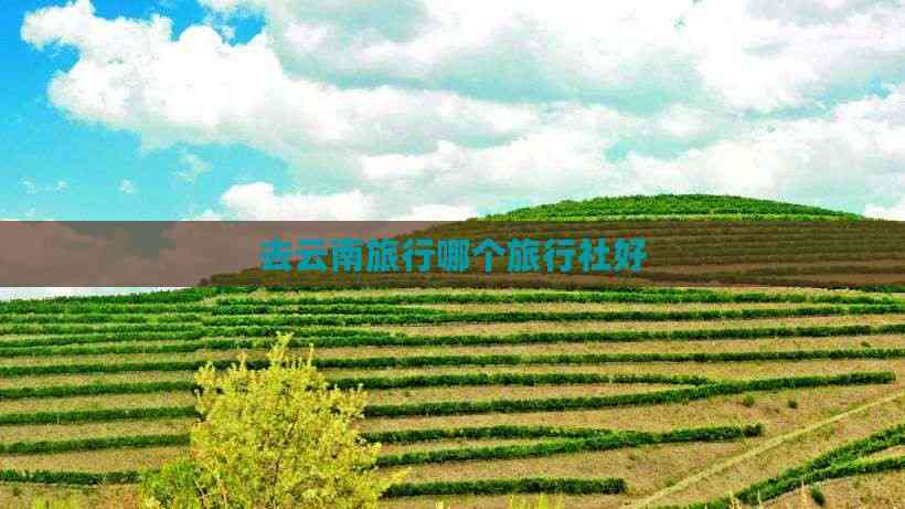 去云南旅行哪个旅行社好(图4)