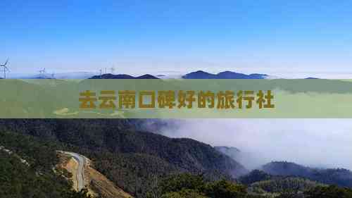 去云南口碑好的旅行社(图5)