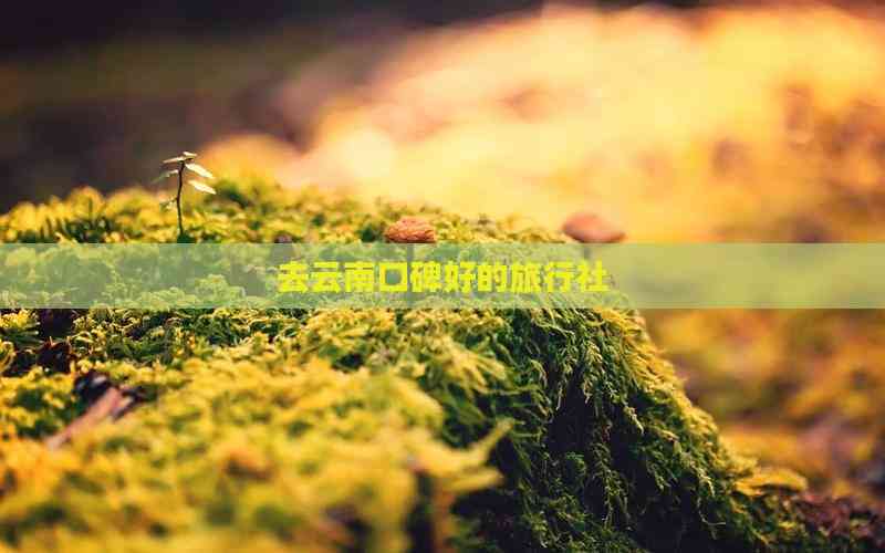 去云南口碑好的旅行社(图7)