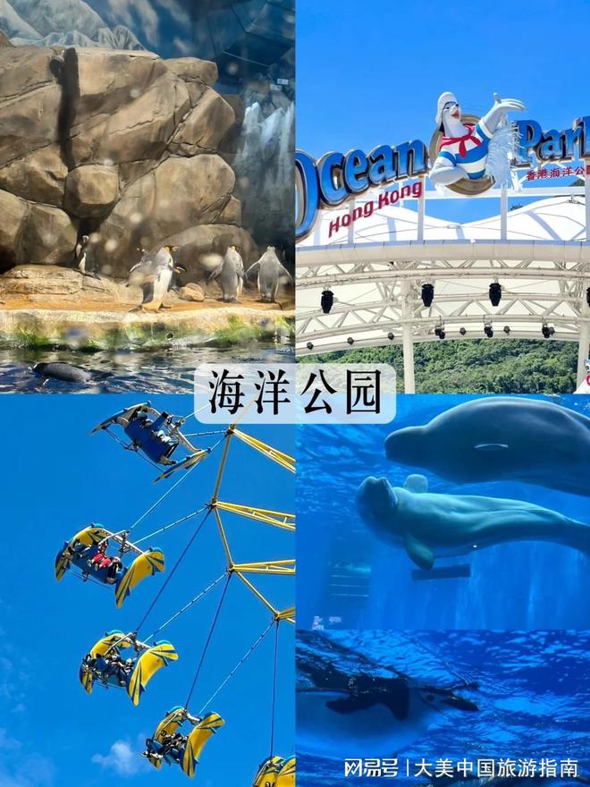 港澳口碑好的旅行社费用标准港澳5天4晚跟团游靠谱旅行社(图3)