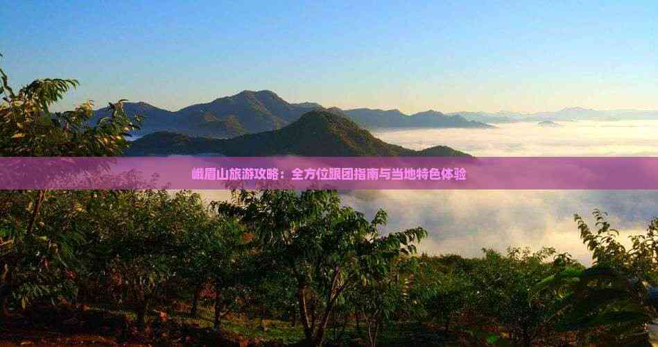 峨眉山旅游攻略:全方位跟团指南与当地特色体验