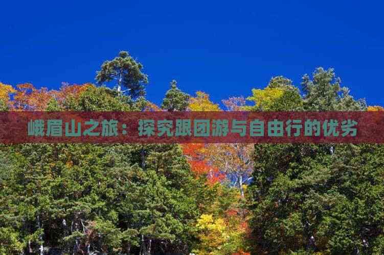 峨眉山之旅：探究跟团游与自由行的优劣(图2)