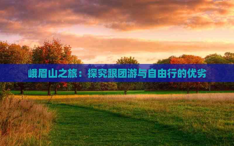 峨眉山之旅：探究跟团游与自由行的优劣(图3)
