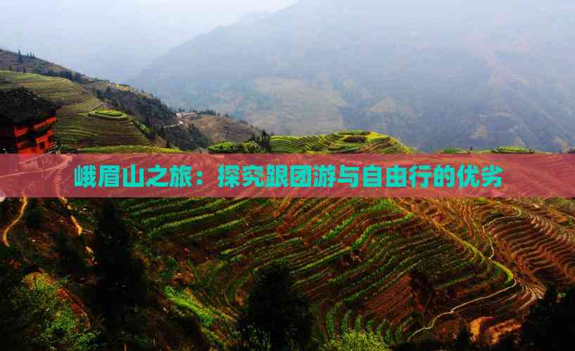 峨眉山之旅：探究跟团游与自由行的优劣(图7)