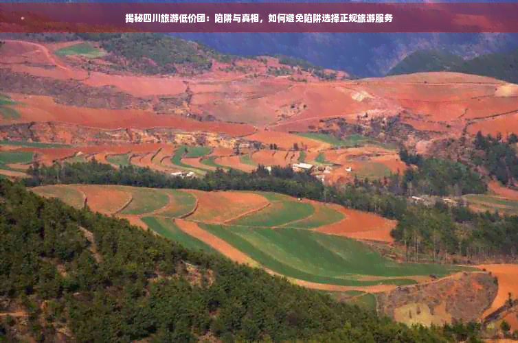 九游娱乐：揭秘四川旅游低价团：陷阱与真相如何避免陷阱选择正规旅游服务