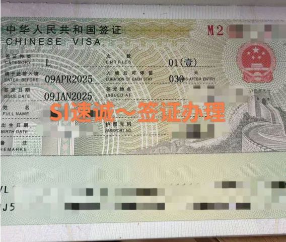 2025申请中国签证全攻略！(图2)