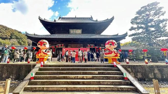 春节出境游第一目的地：取代泰国去年已接待内地游客698万人次(图4)