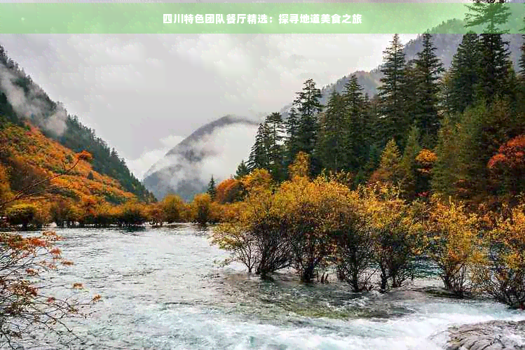 四川特色团队餐厅精选：探寻地道美食之旅