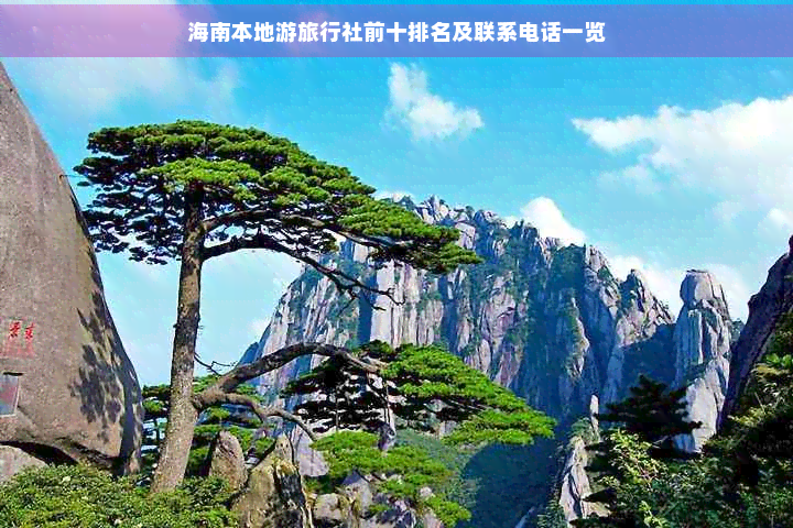 九游娱乐文化：海南本地游旅行社前十及联系电话一览