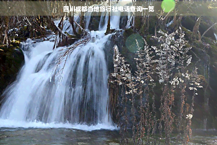 九游娱乐：四川成都当地旅行社电话查询一览
