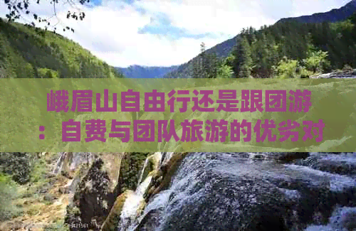 峨眉山自由行还是跟团游：自费与团队旅游的优劣对比分析