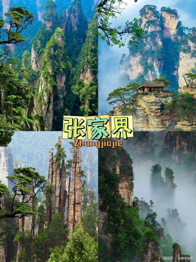 张家界报团还是自己玩？看完这篇再做决定！(图3)