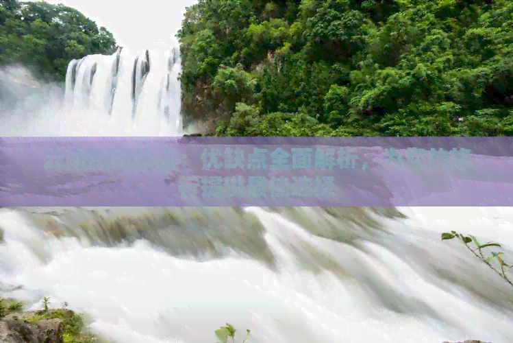 云南跟团旅游：优缺点全面解析为您的旅行提供更佳选择