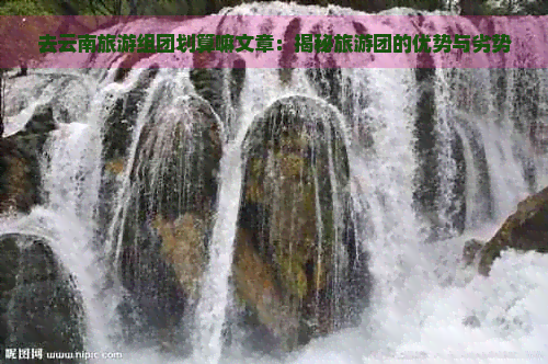 九游娱乐文化：去云南旅游组团划算嘛文章：揭秘旅游团的优势与劣势