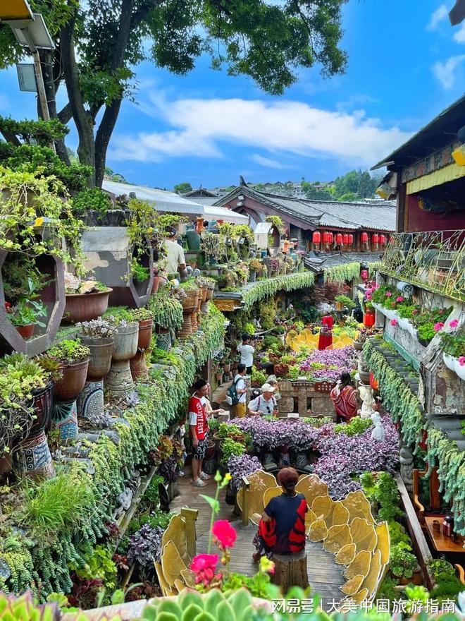 暑假云南旅游攻略暑假云南6天双飞游报价跟团6日费用明细(图2)