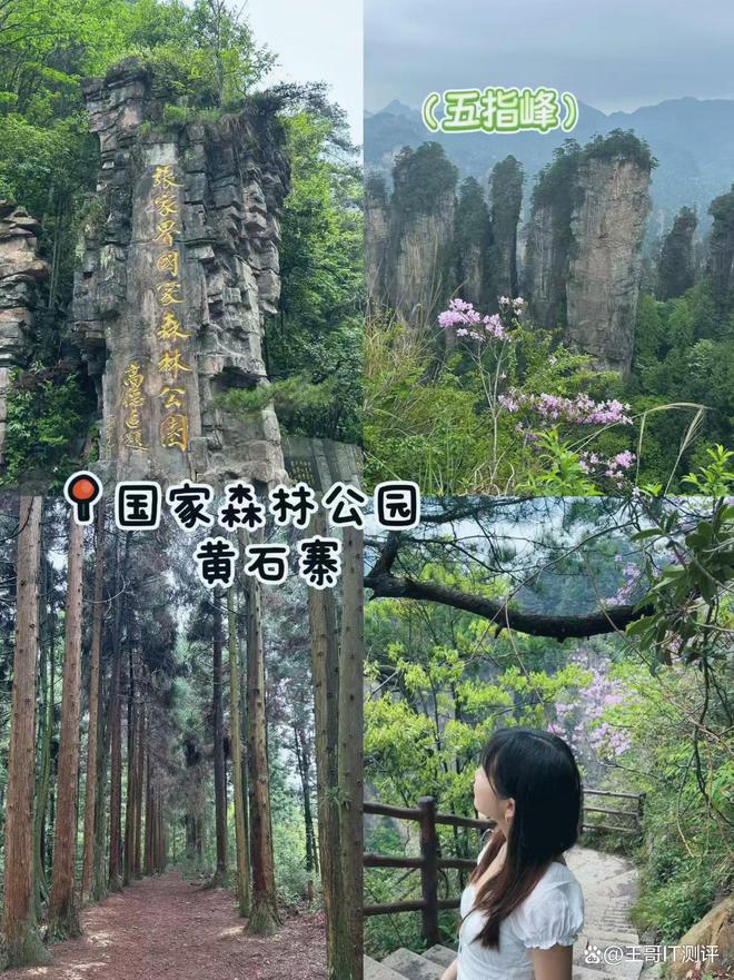 九游娱乐：张家界精致小包旅游团报价5日游正规旅行社报名电话号码