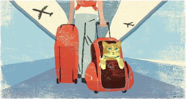20年真实旅行体验总结告诉您自由旅行和团体旅游的区别！下篇