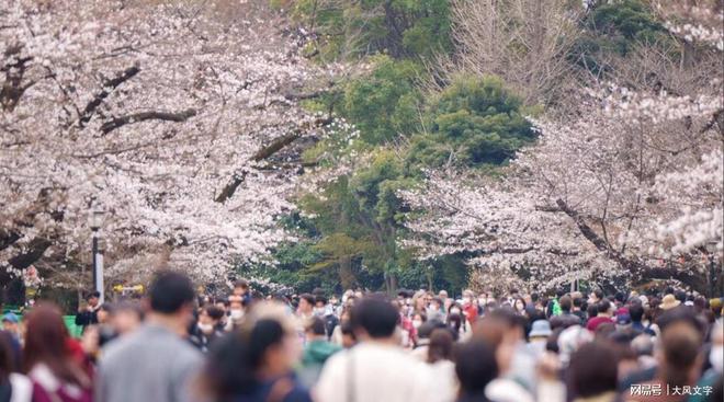 俄罗斯人居然这样?排长队申请赴日旅游签证日本赚得盆满钵满(图3)