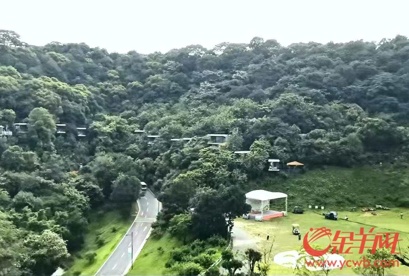 【】2025年“羊城八景”评选活动启动专业调研环节：评审专家调研从化景区(图5)
