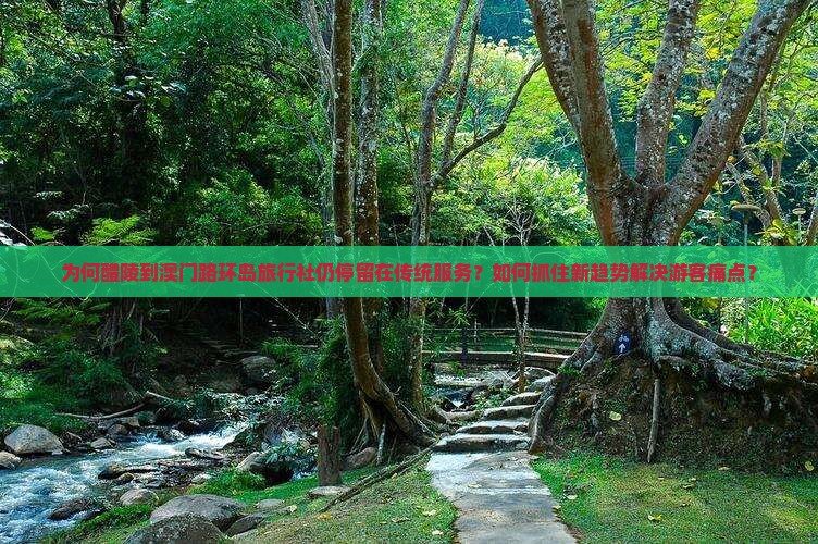 九游娱乐文化：为何醴陵到澳门路环岛旅行社仍停留在传统服务？如何抓住新趋势解决游客痛点？(图1)