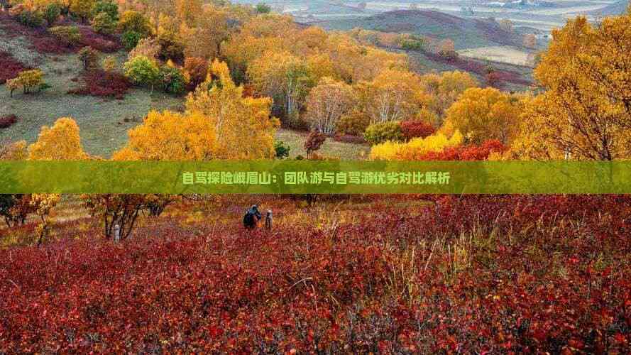 自驾探险峨眉山：团队游与自驾游优劣对比解析(图1)