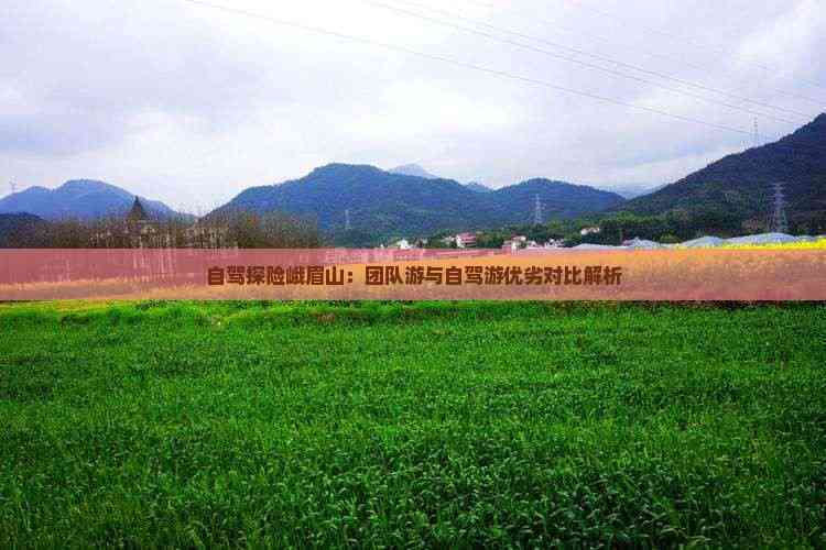 自驾探险峨眉山：团队游与自驾游优劣对比解析(图4)