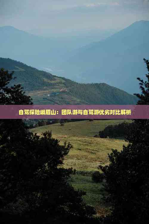 自驾探险峨眉山：团队游与自驾游优劣对比解析(图7)
