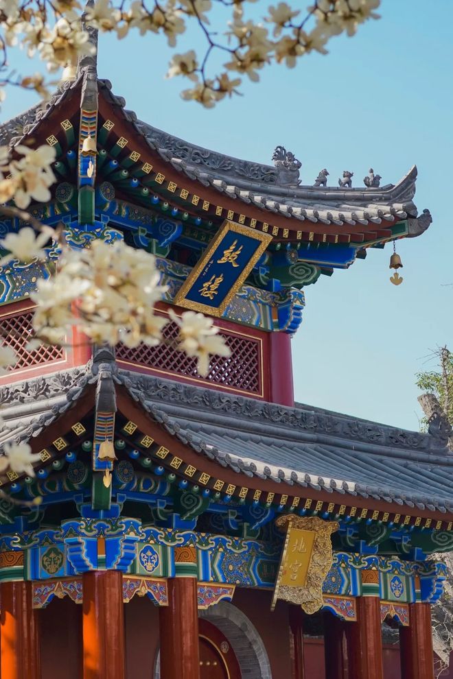 九游娱乐文化：西安旅游团5天报价是多少？西安旅游攻略5天4晚本地团推荐(图1)