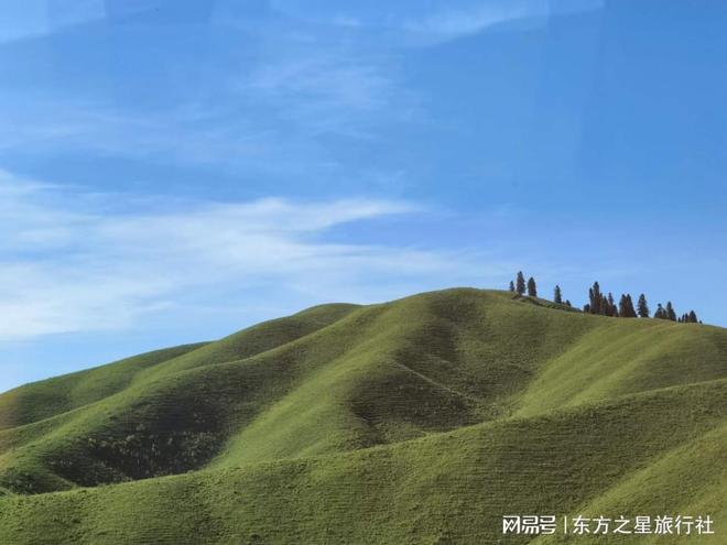 九游娱乐：伊犁旅行社：专业定制新疆深度游解锁绝美风光(图1)